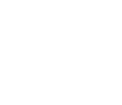 Логотип PORTRAIT VIDEO